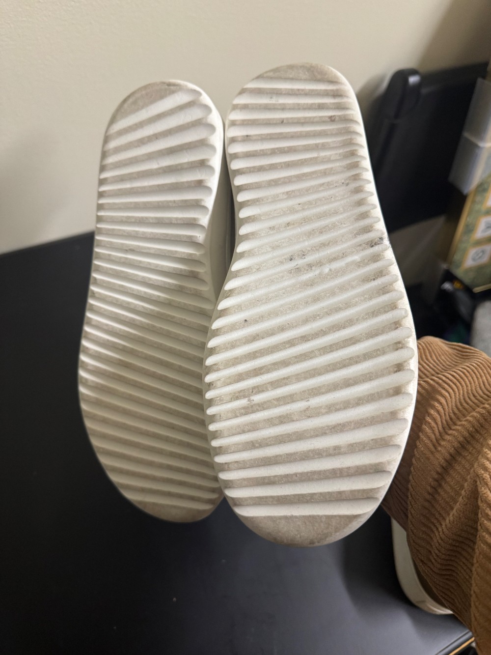 Allbirds tennis shoe