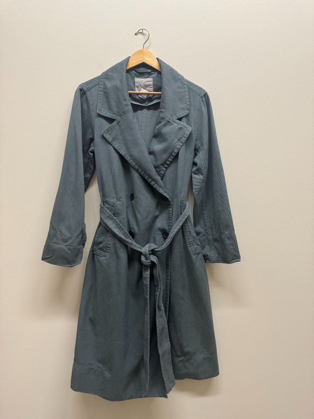 Everlane trench coat