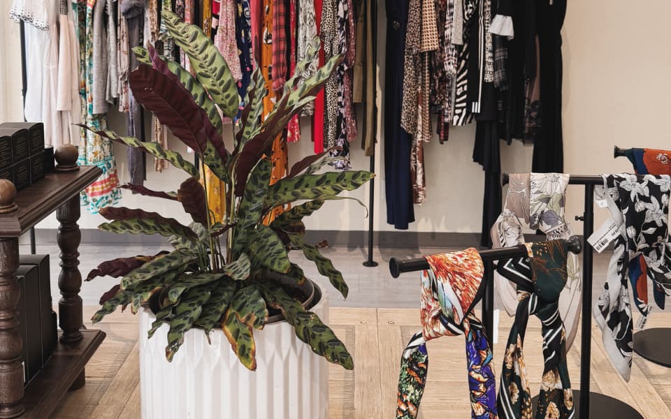 Clothing racks with patterned garments and scarves displayed inside The Curated Closet boutique.