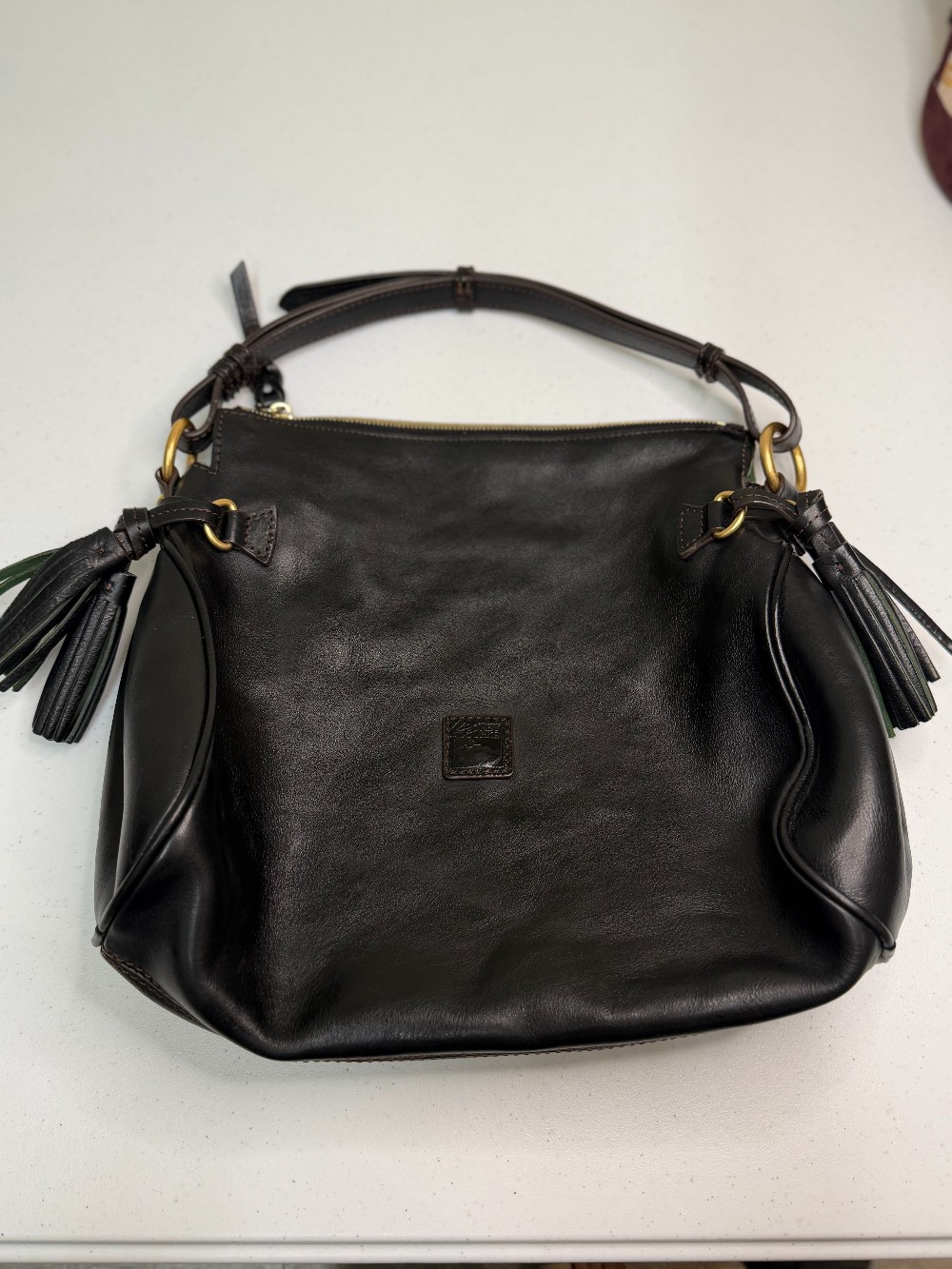Dooney & Burke Florentine leather zip hobo bag