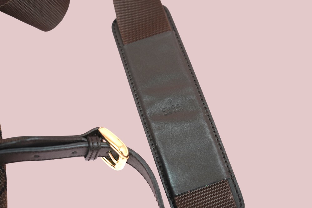 GG Messenger Bag
