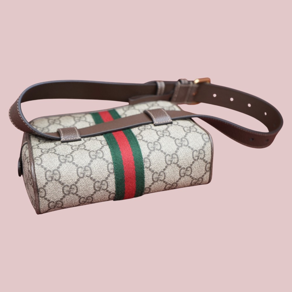 Ophidia Belt Bag