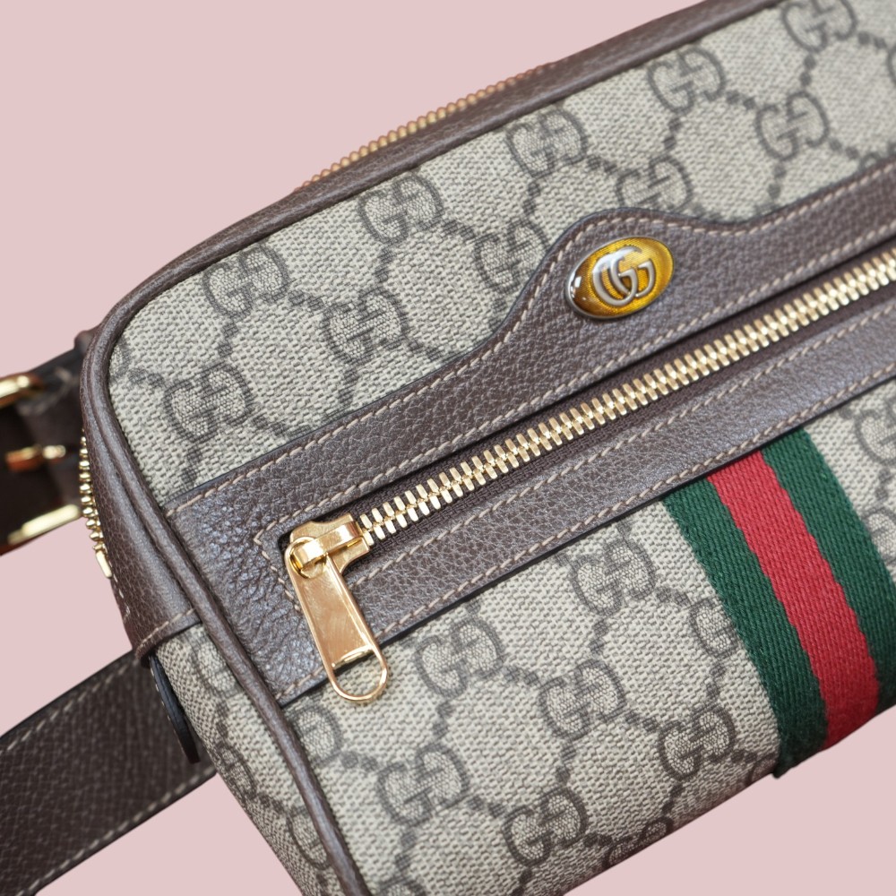 Ophidia Belt Bag