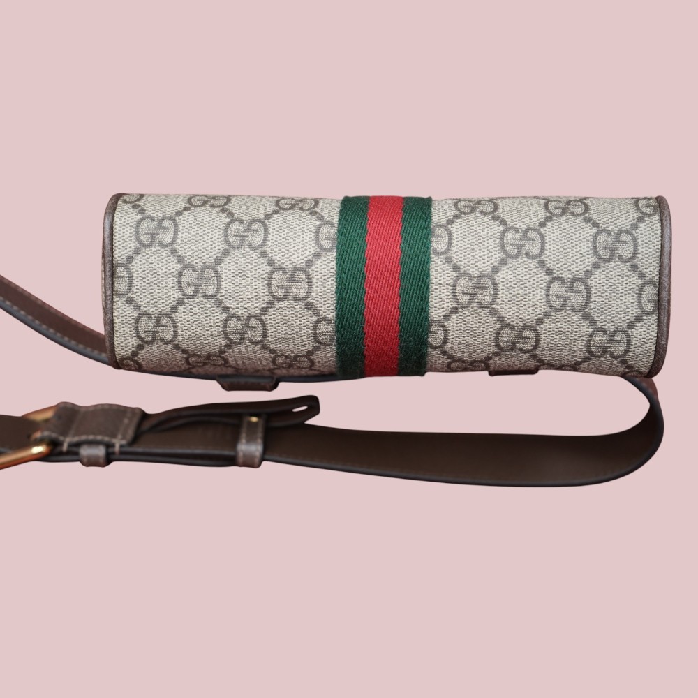 Ophidia Belt Bag