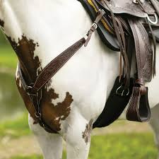 Breast collars consignment