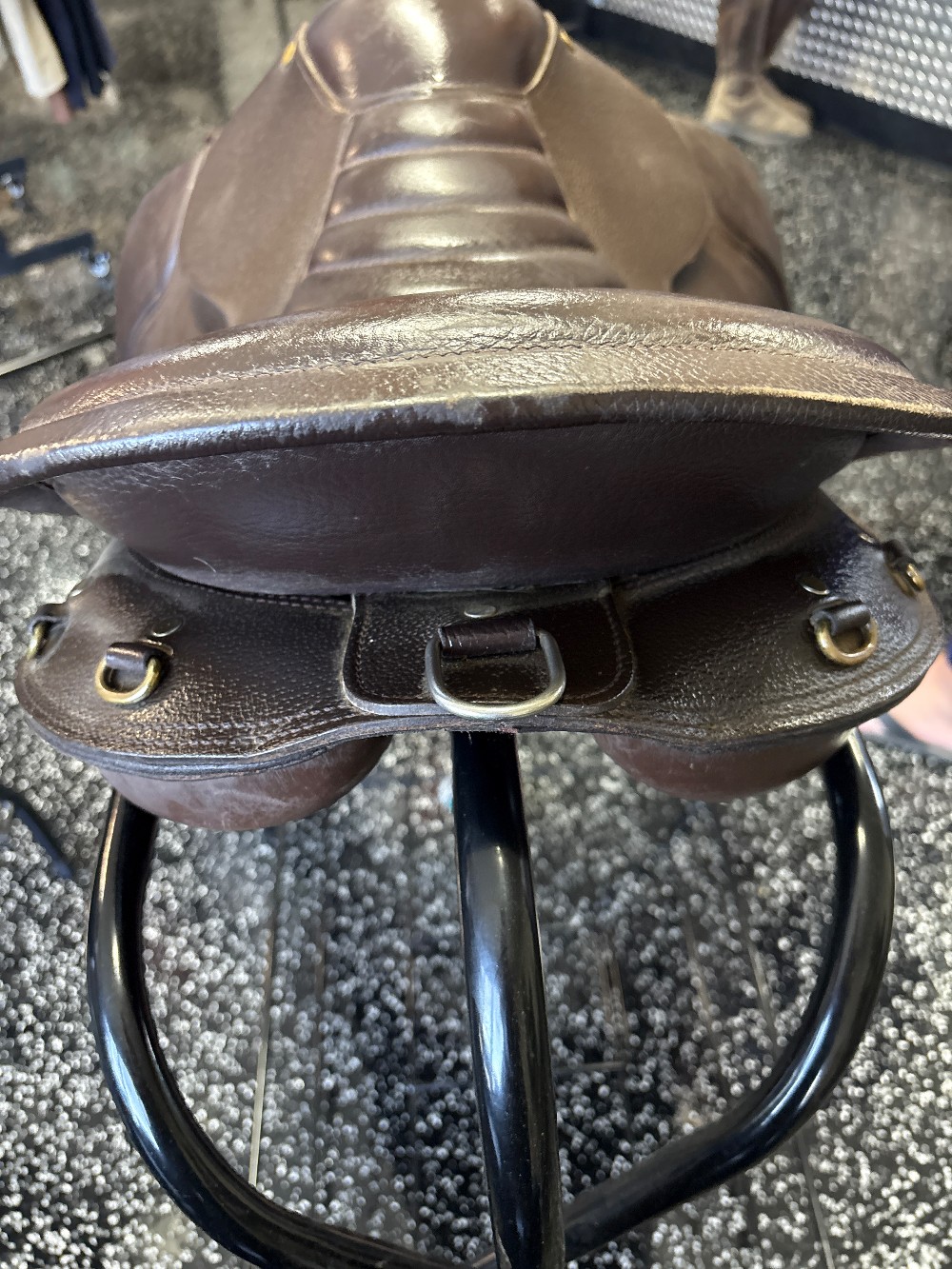 Collegiate Marathon Endurance Saddle 18.5