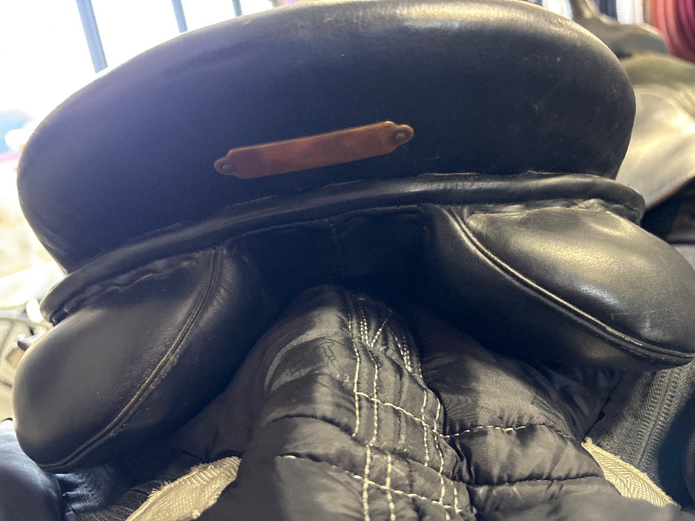 St Lourdes Sellier Dressage 17.5