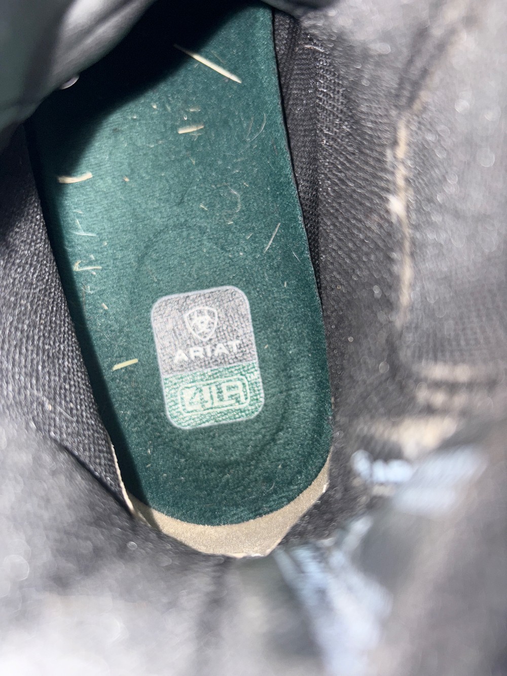 Ariat scout boots