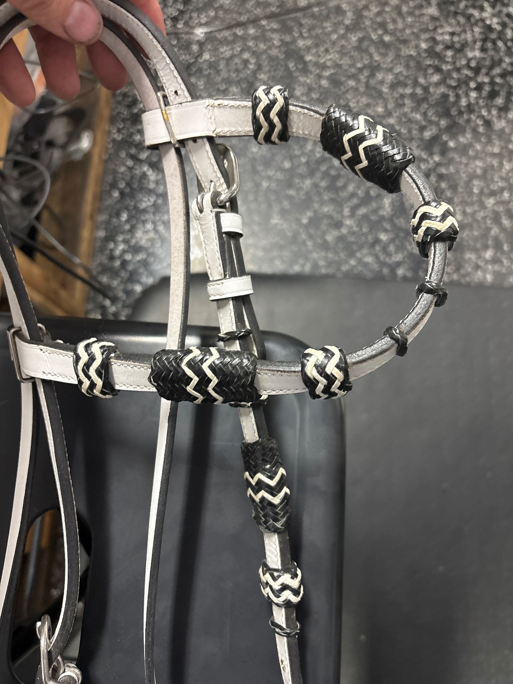 Bridle black/white horse size