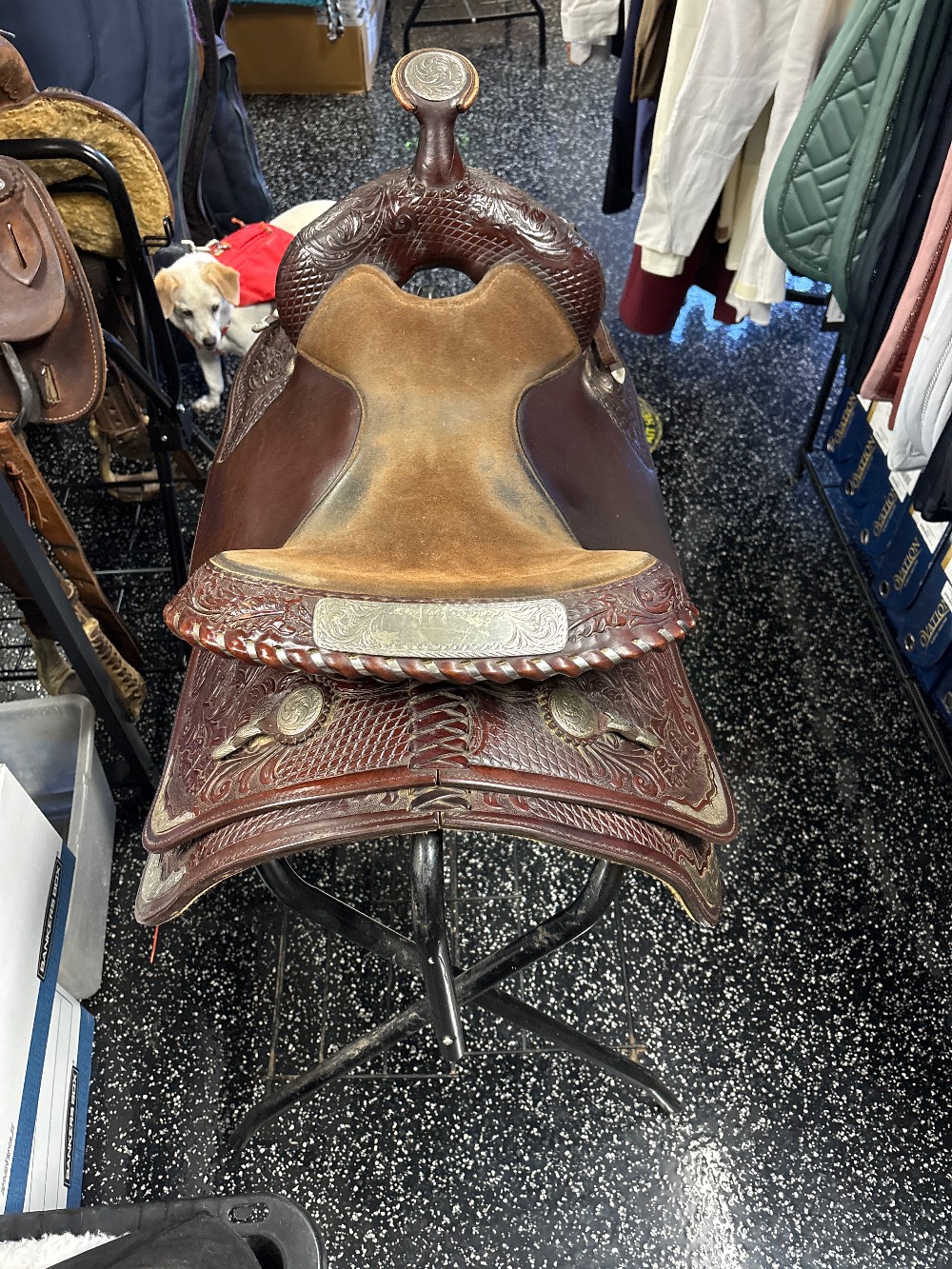 Circle Y Equitation saddle 15.5in