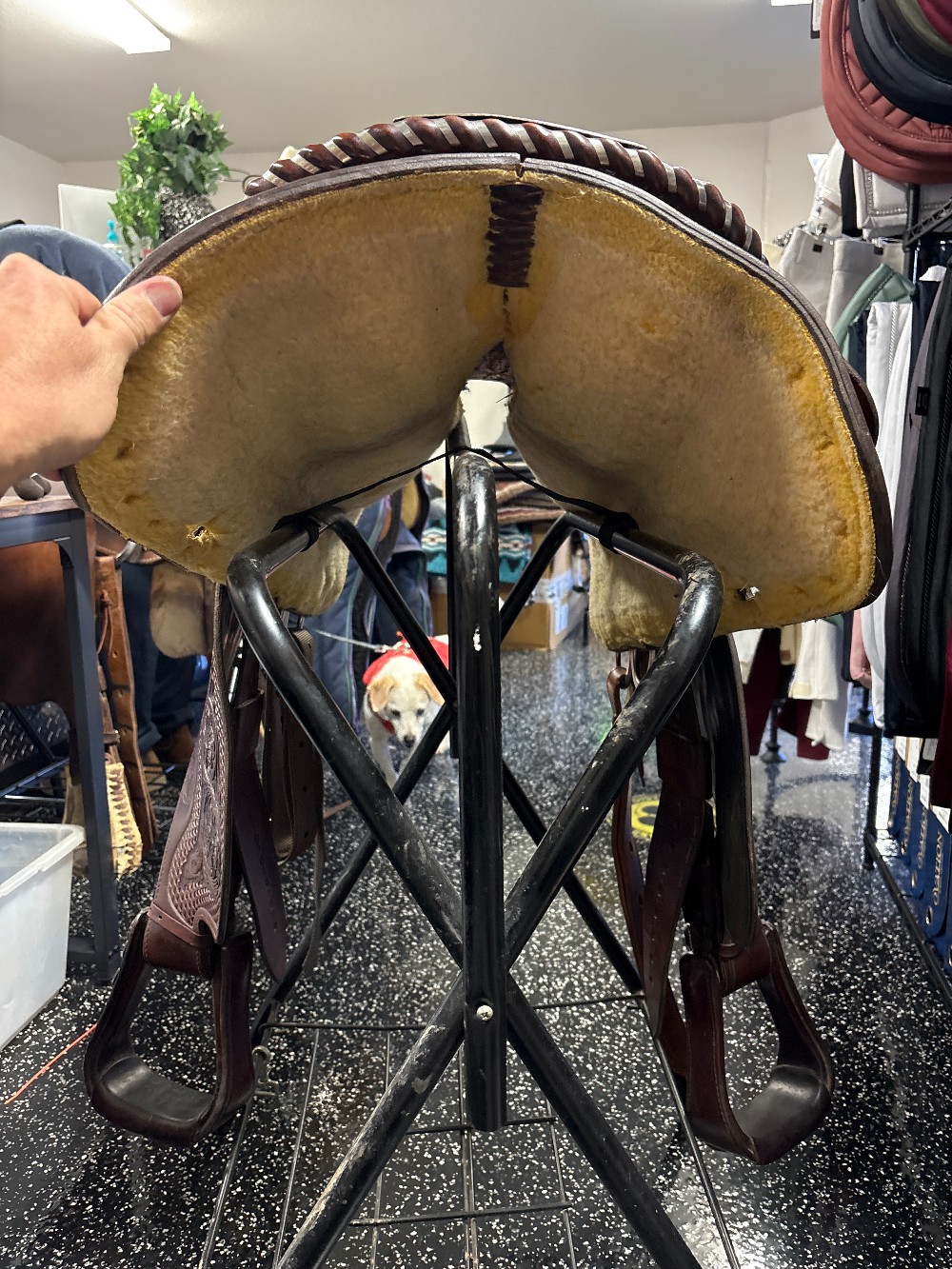 Circle Y Equitation saddle 15.5in