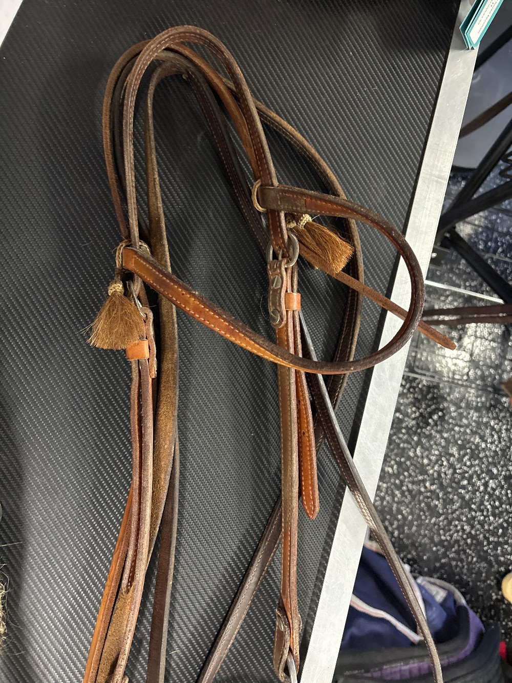 Slyster bit / headstall / reins