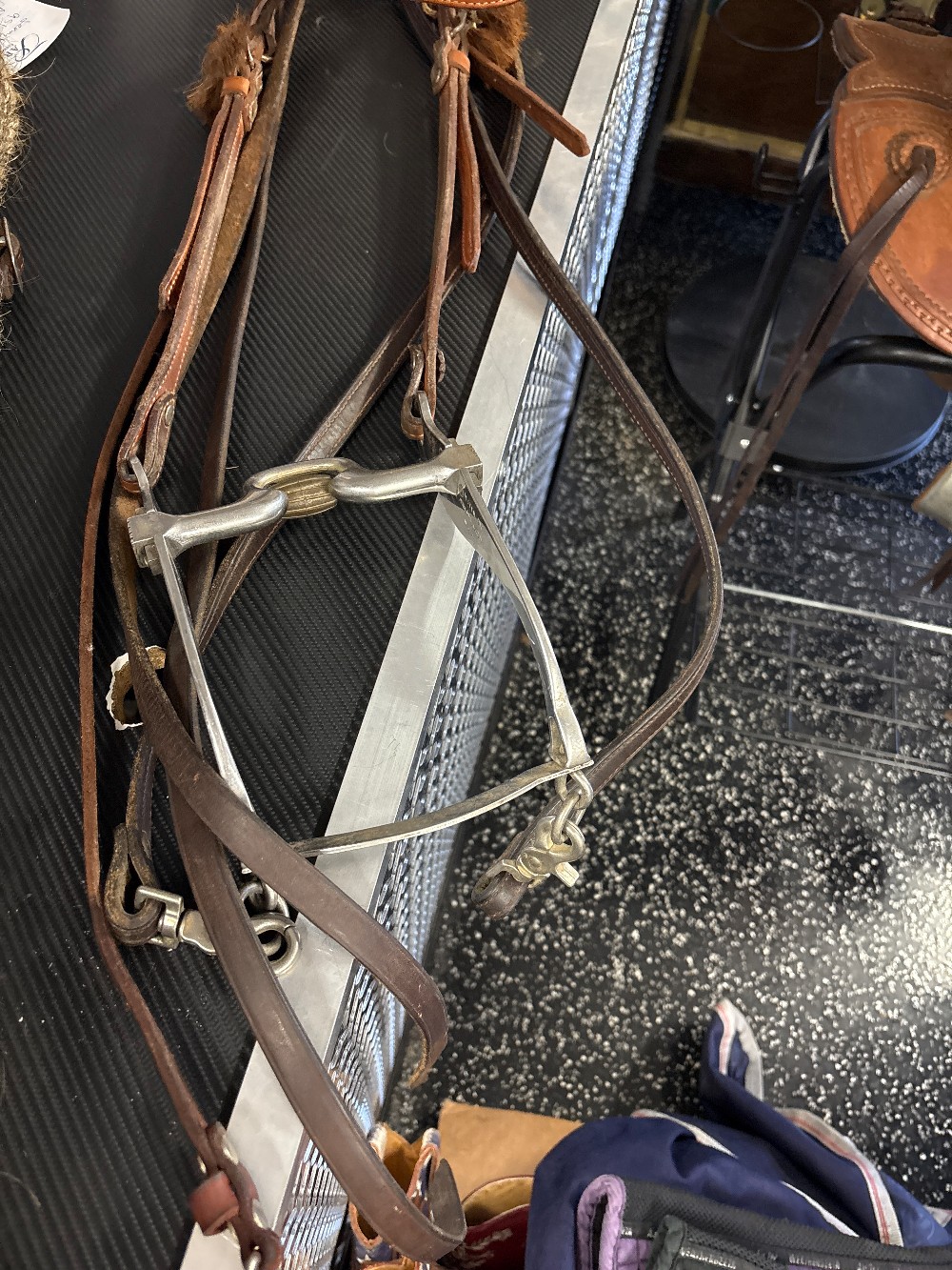 Slyster bit / headstall / reins
