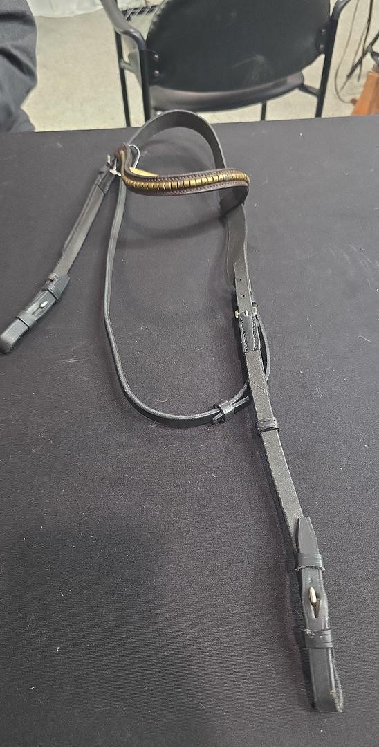 Bridle