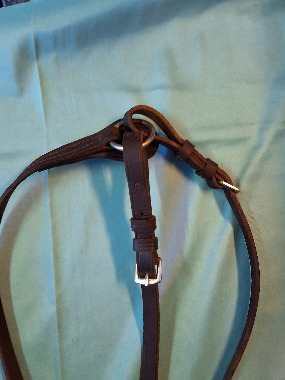 Martingale w/ neck strap