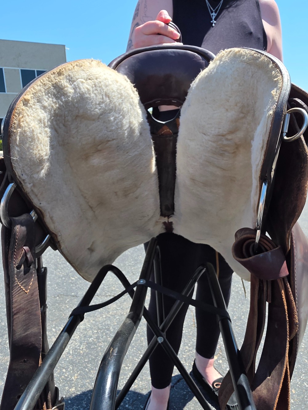 Circle y equitation saddle 16.5 in with matching breast collar