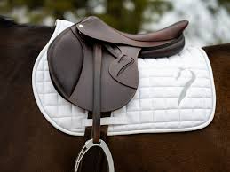 Jumping Saddles