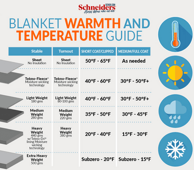 Blankets & fly sheets & Fly mask consignment