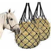 Stable Equipment