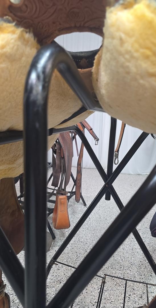 Circle Y equitation saddle with Headstall & breast collar 16.5in