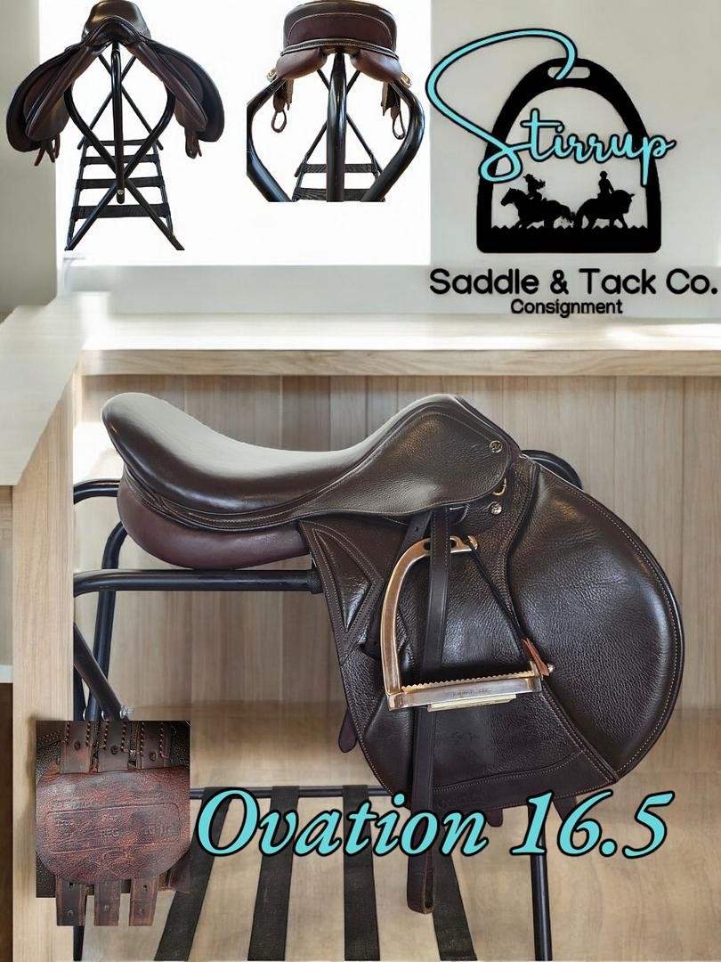 Ovation san diego 16.5