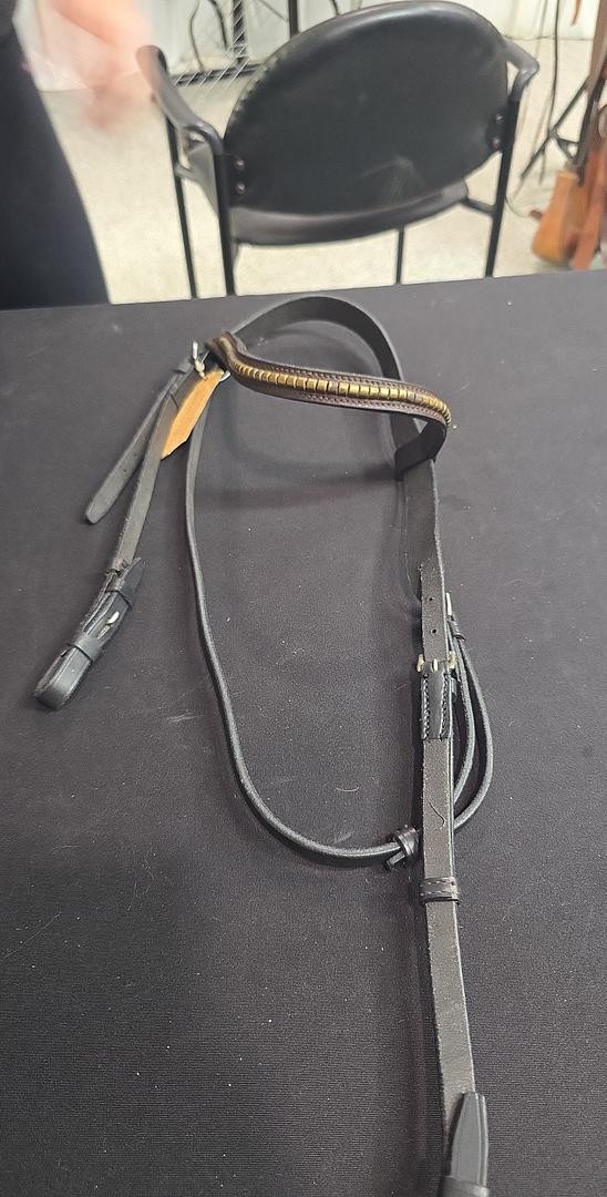 Bridle