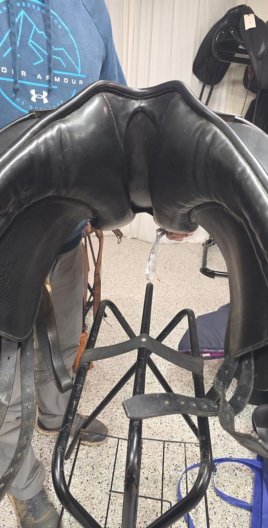 Karl Niedersuss dressage saddle 16in