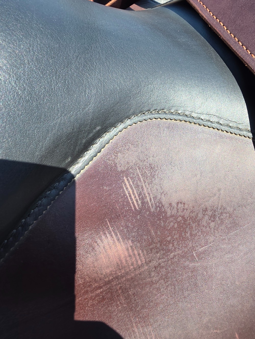 Circle y equitation saddle 16.5 in with matching breast collar