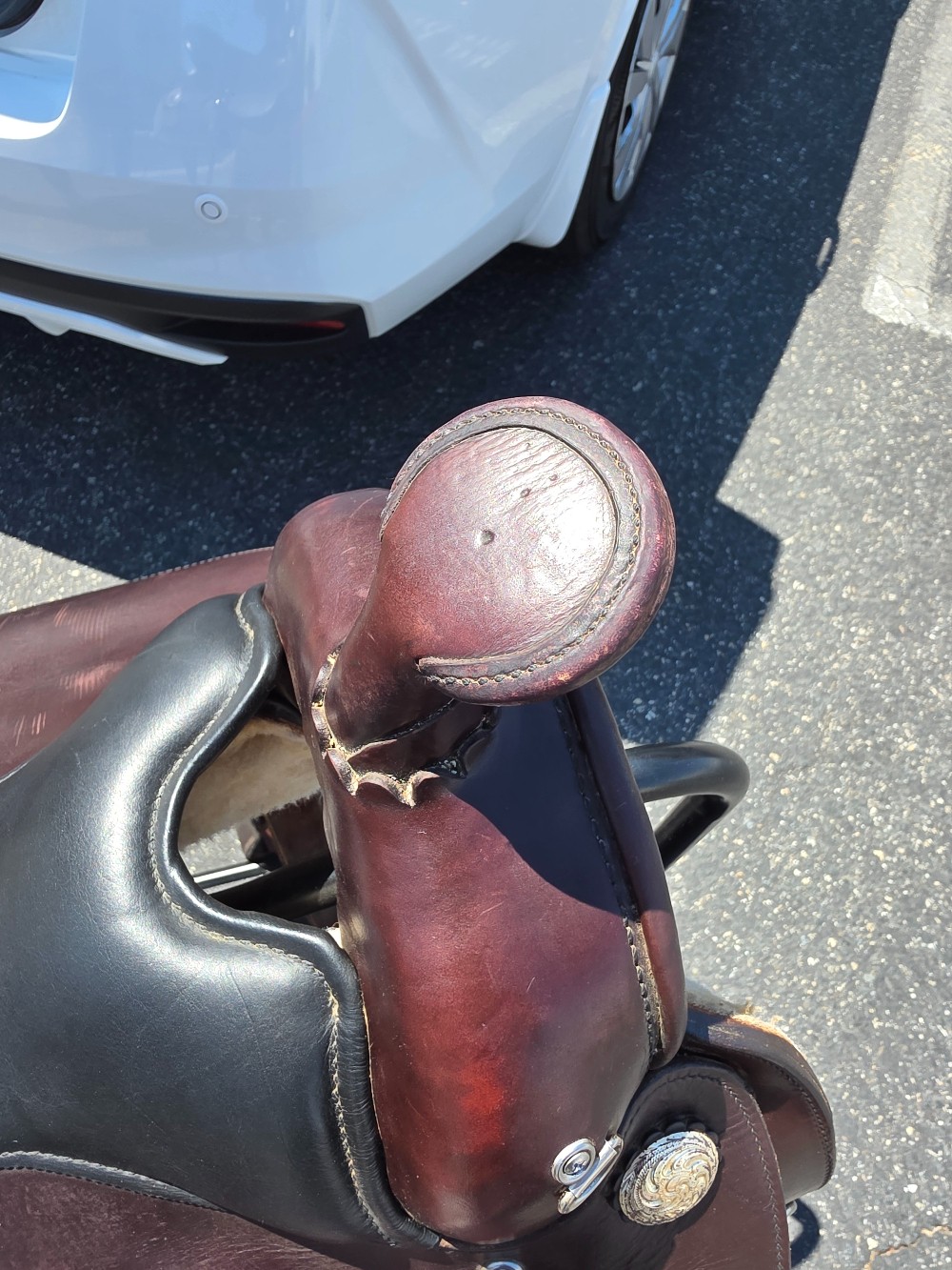 Circle y equitation saddle 16.5 in with matching breast collar