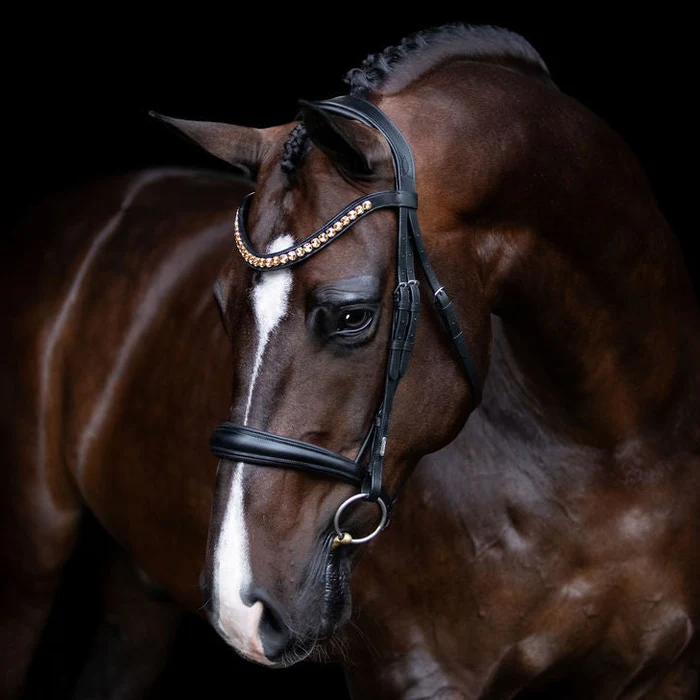 Bridles, Reins & Headstalls consignment