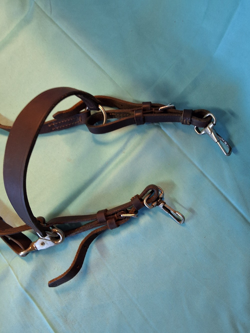 Martingale w/ neck strap