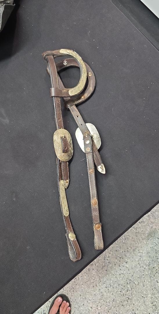 2 ear Headstall