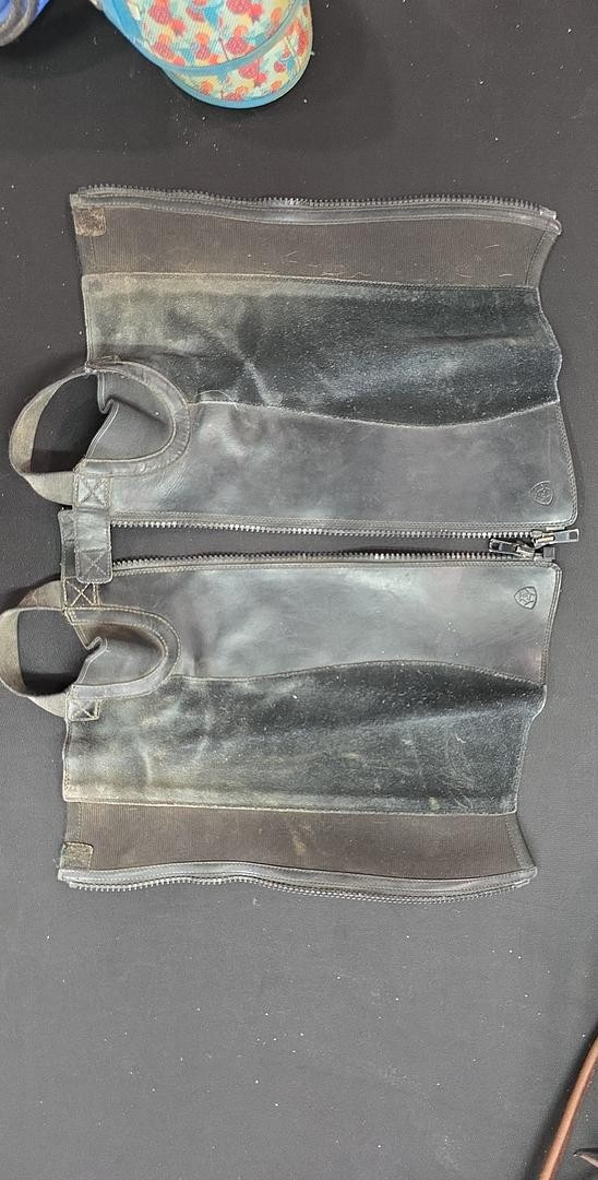 Ariat half chaps LT