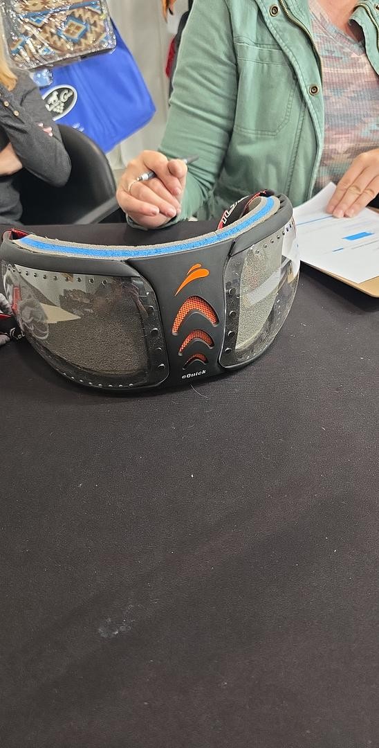 Equine goggles