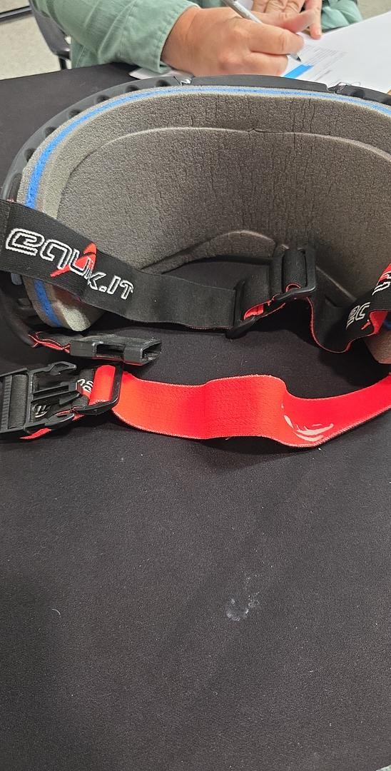 Equine goggles
