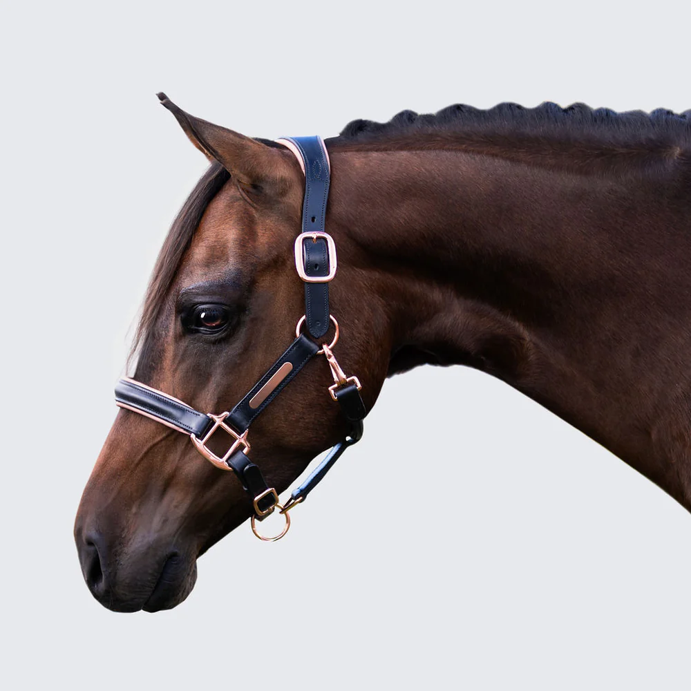 Halters New