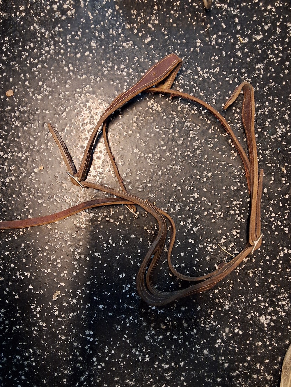 Headstall