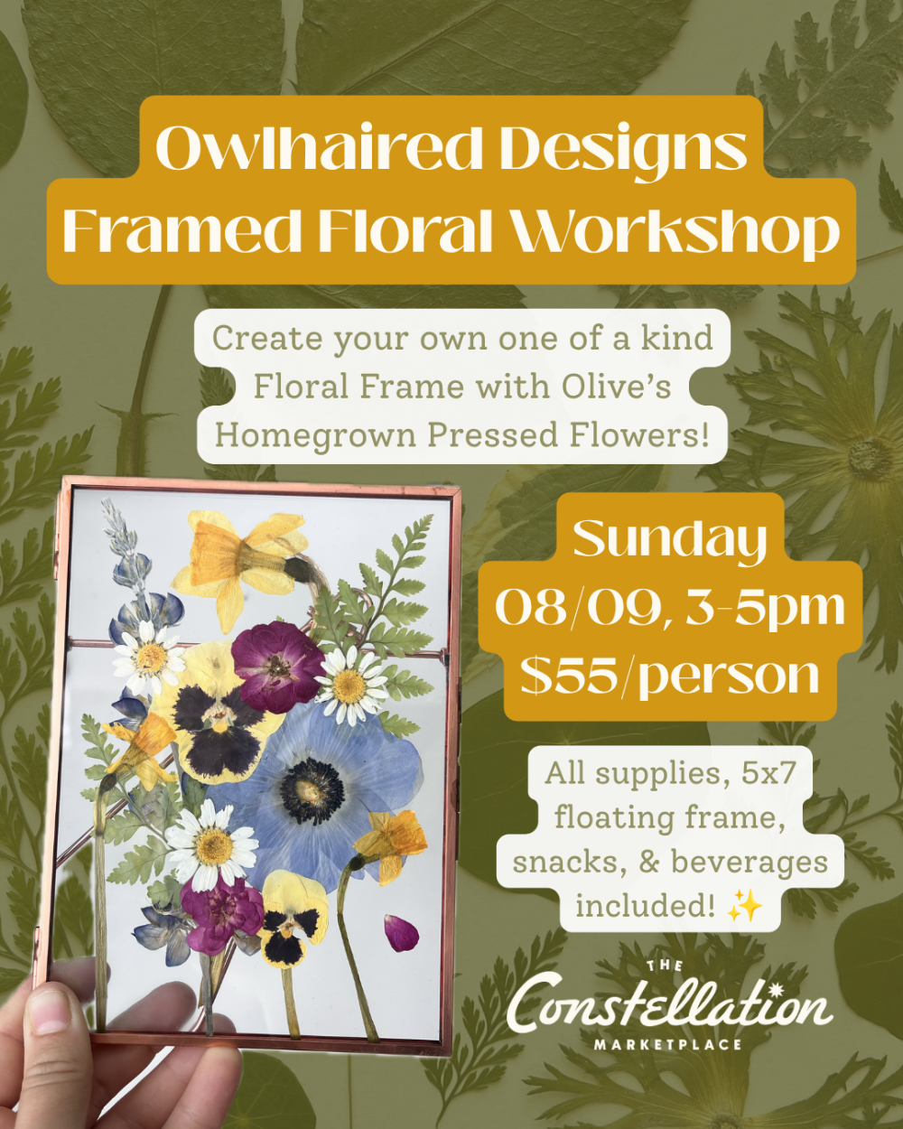 Classes & Workshops
