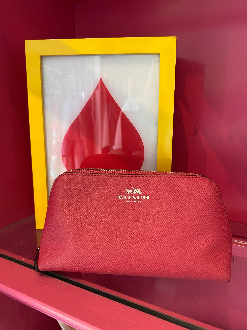 Coach pink pebbled leather makeup case