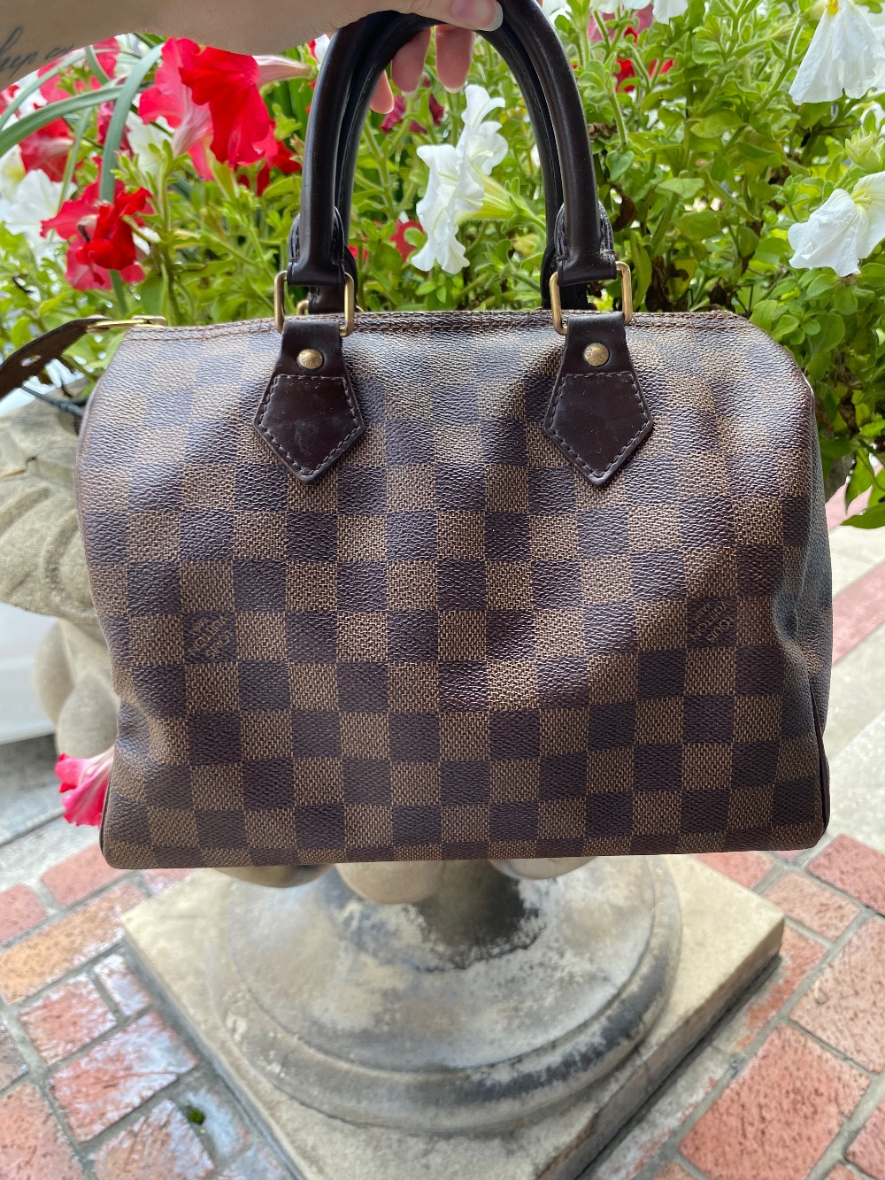 Louis Vuitton Speedy Damier Ebene handbag