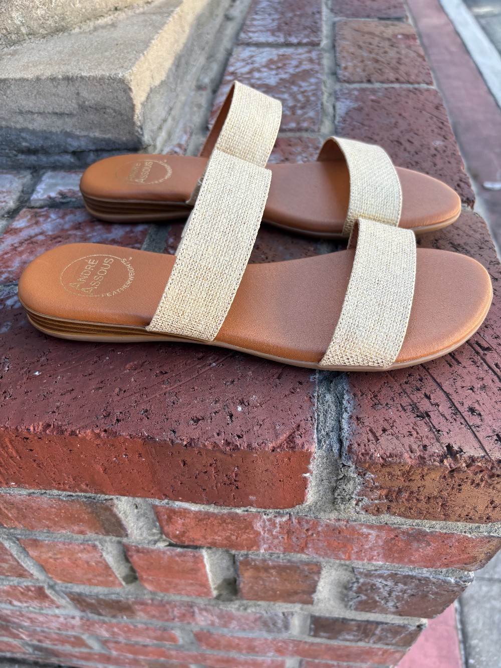 Andre Assous Slides size 8 M