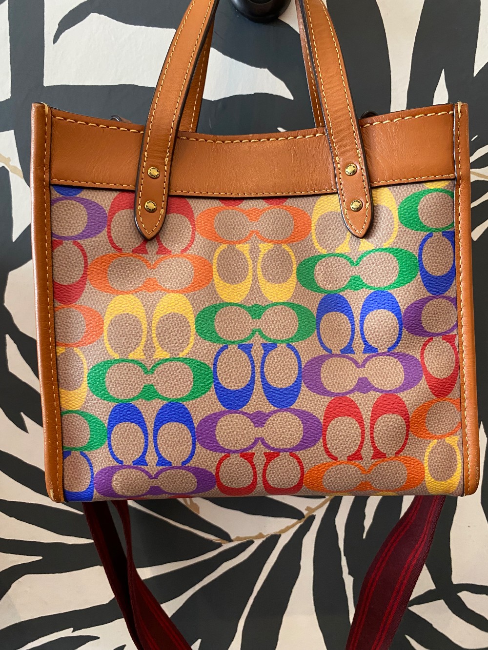 Coach Limited Edition Field Tote 22 from Pride 2022