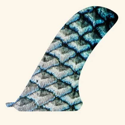 Sand Island Surf Shop | Search Results