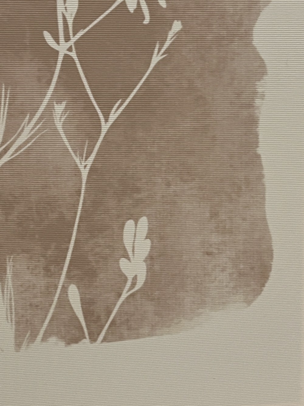 Framed Floral Silhouette and Geometric Artworks