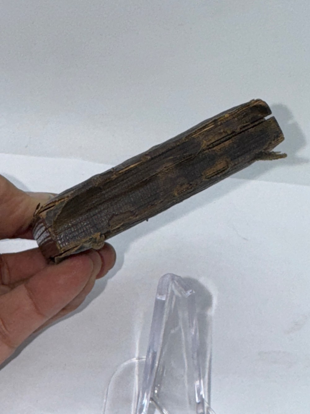 Antique Photo in Leatherette Case