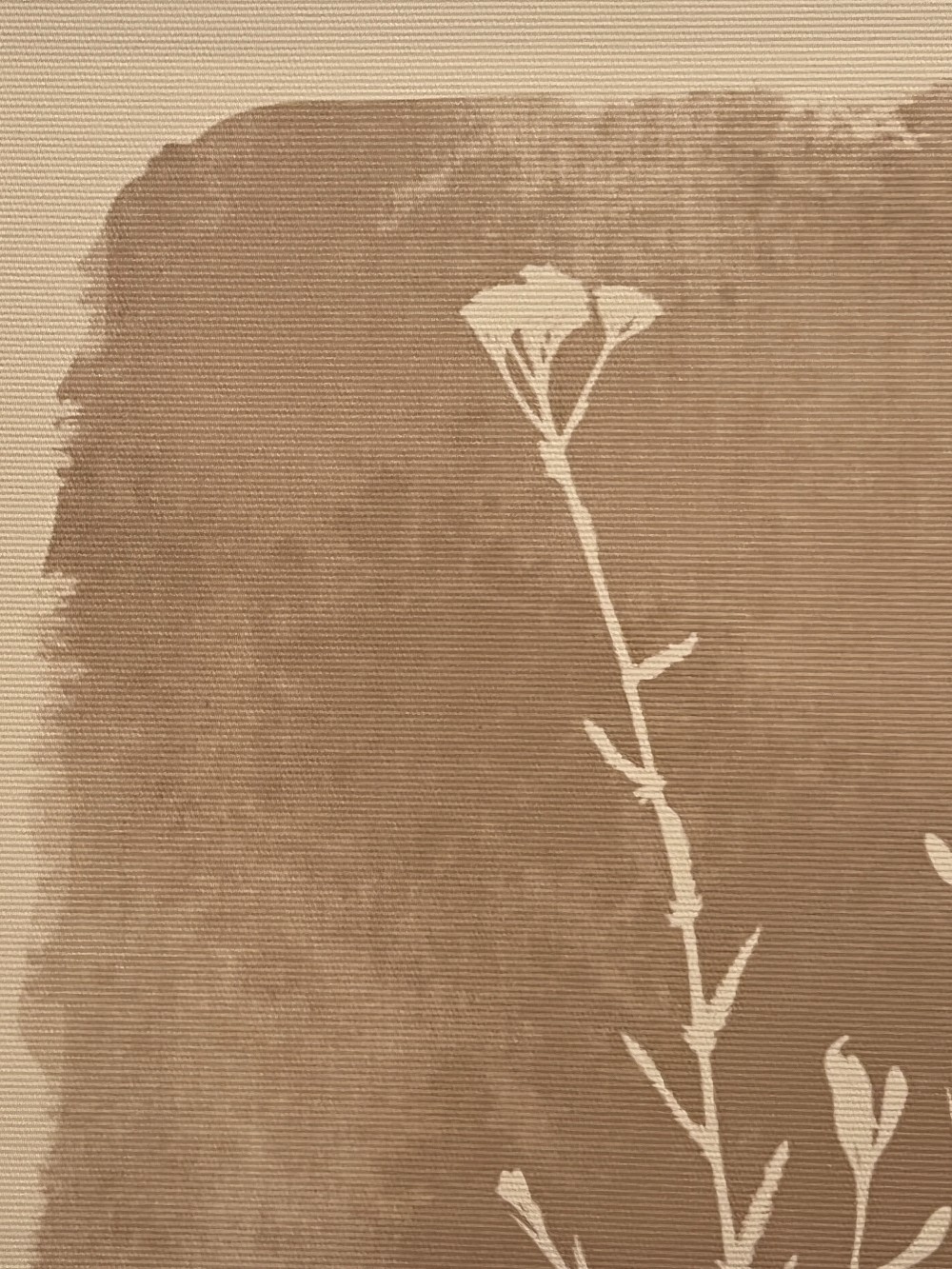 Framed Floral Silhouette and Geometric Artworks