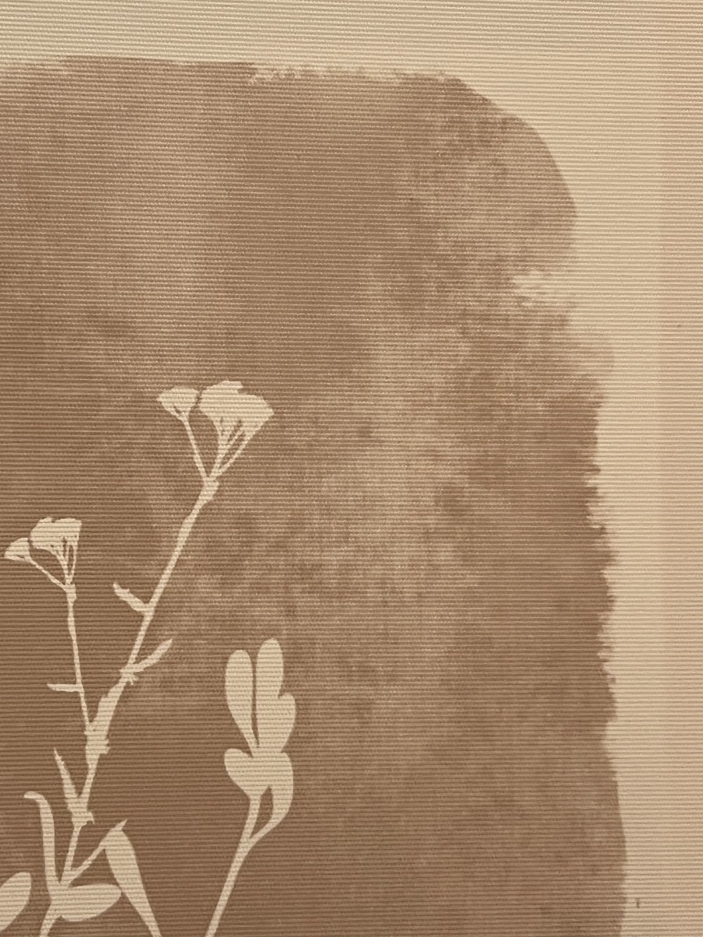 Framed Floral Silhouette and Geometric Artworks