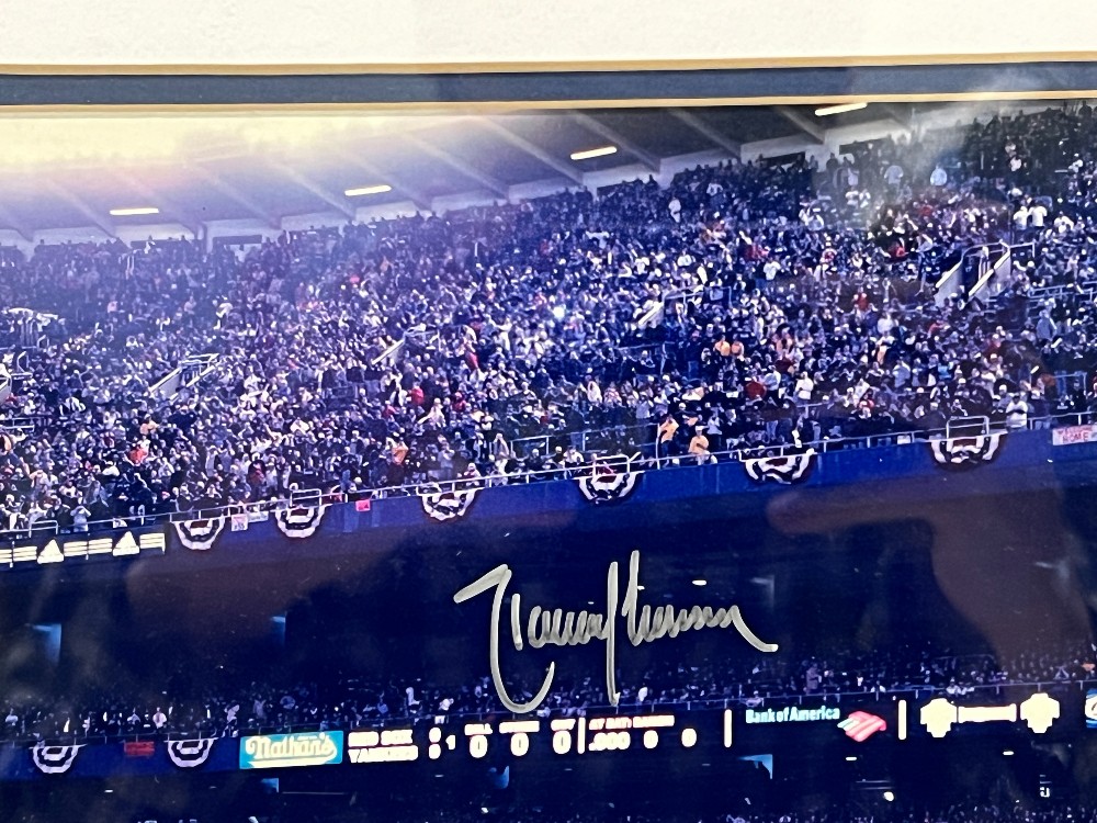 Randy Johnson 1st Pitch At Yankee Stadium Side View 8x10 Photograph, Steiner, MLB