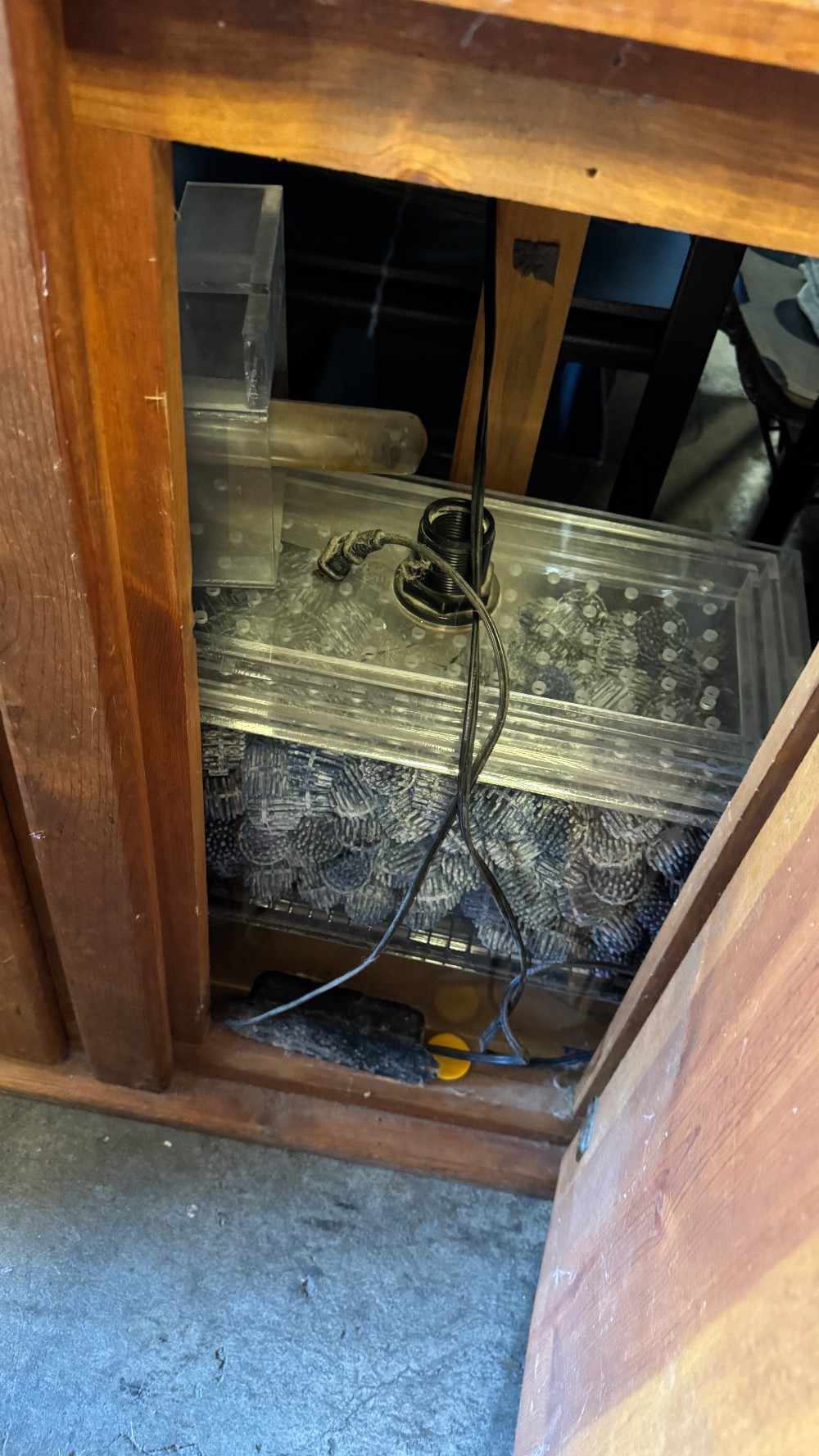 50 Gallon Aquarium with Wood Cabinet Stand and Supplies