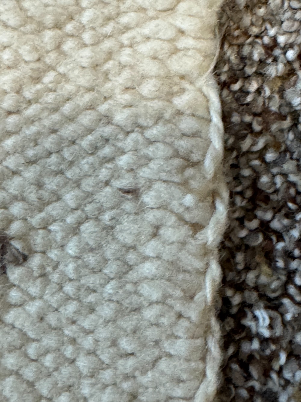 Transitional Navajo Rug (Late 19th-Early 20th Century)